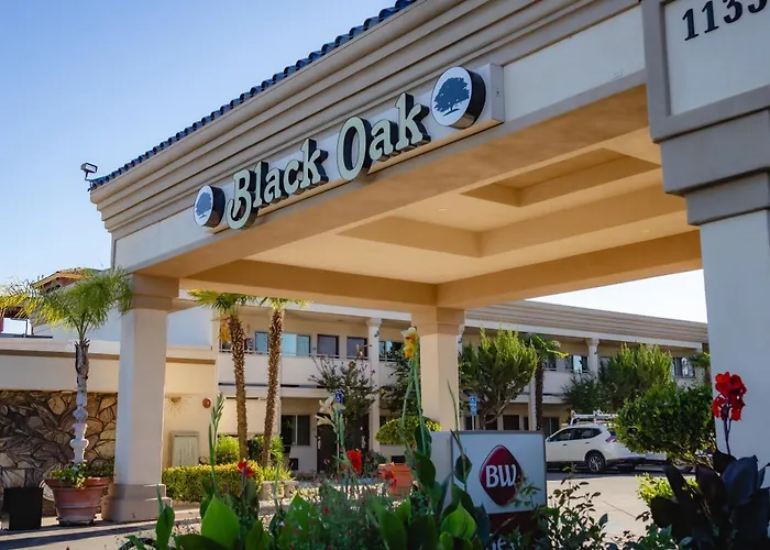 Best Western Plus Black Oak